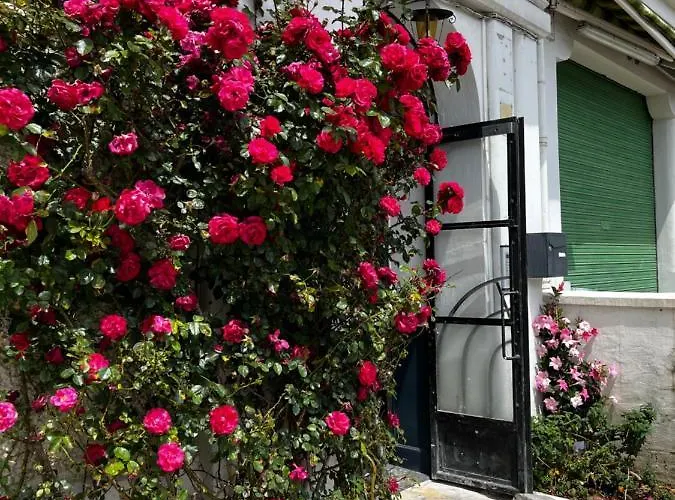 Cosy Proche Gare Et Centre * Lourdes